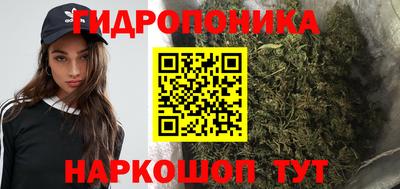гашик Кимры