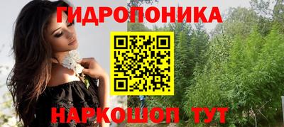 гашик Кимры