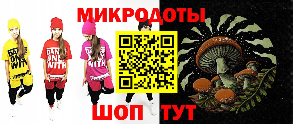 Галлюциногенные грибы Psilocybe Кудымкар