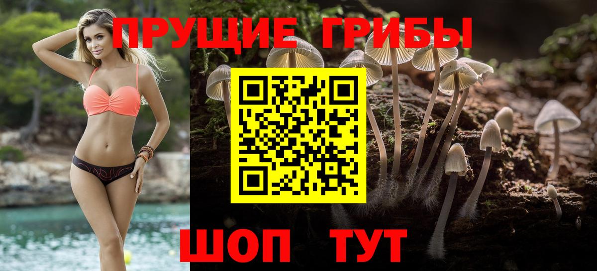 Псилоцибиновые грибы Magic Shrooms  Вход с VPN  Псилоцибиновые грибы прущие грибы  Кудымкар 